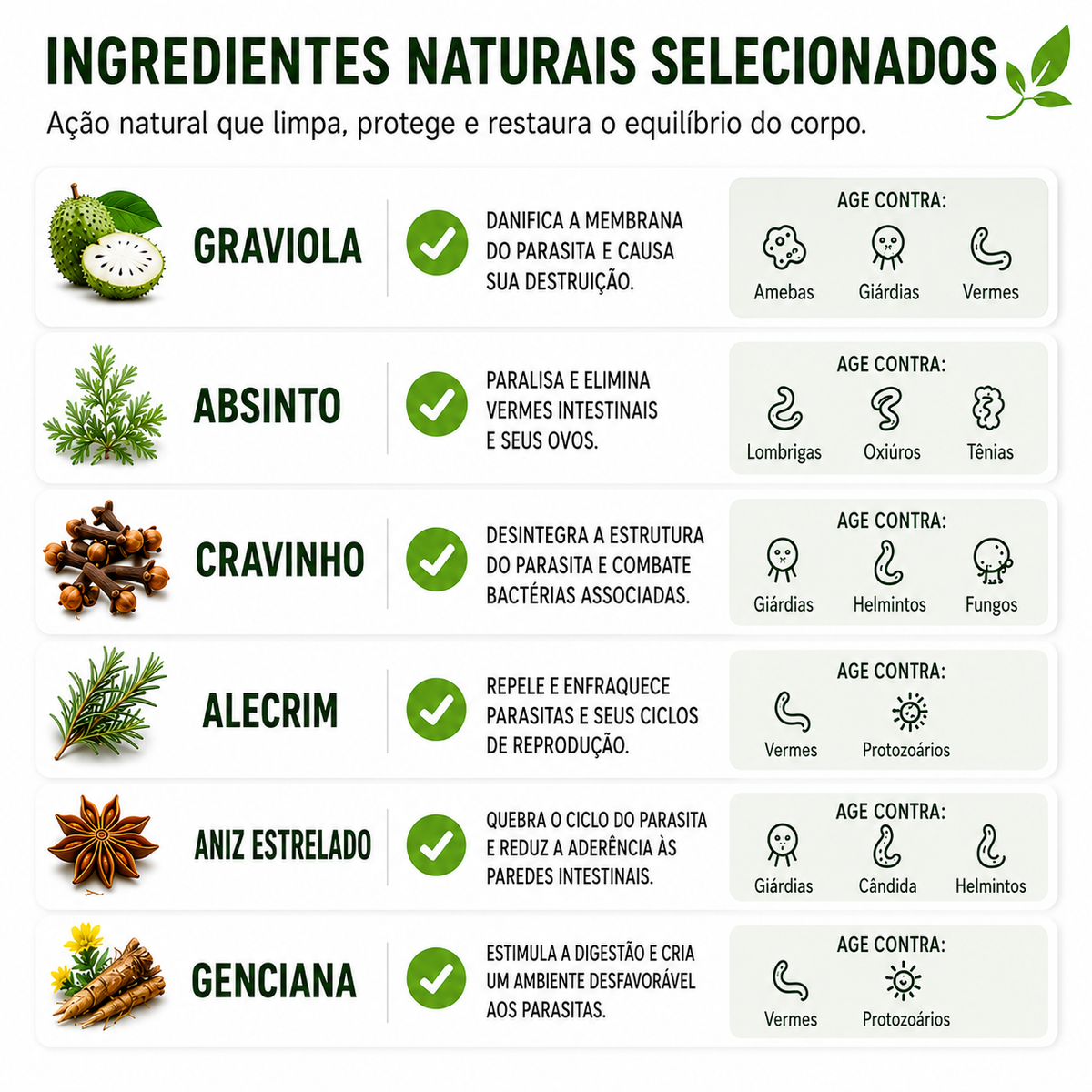 BioPurge – Suplemento Natural Antiparasitário